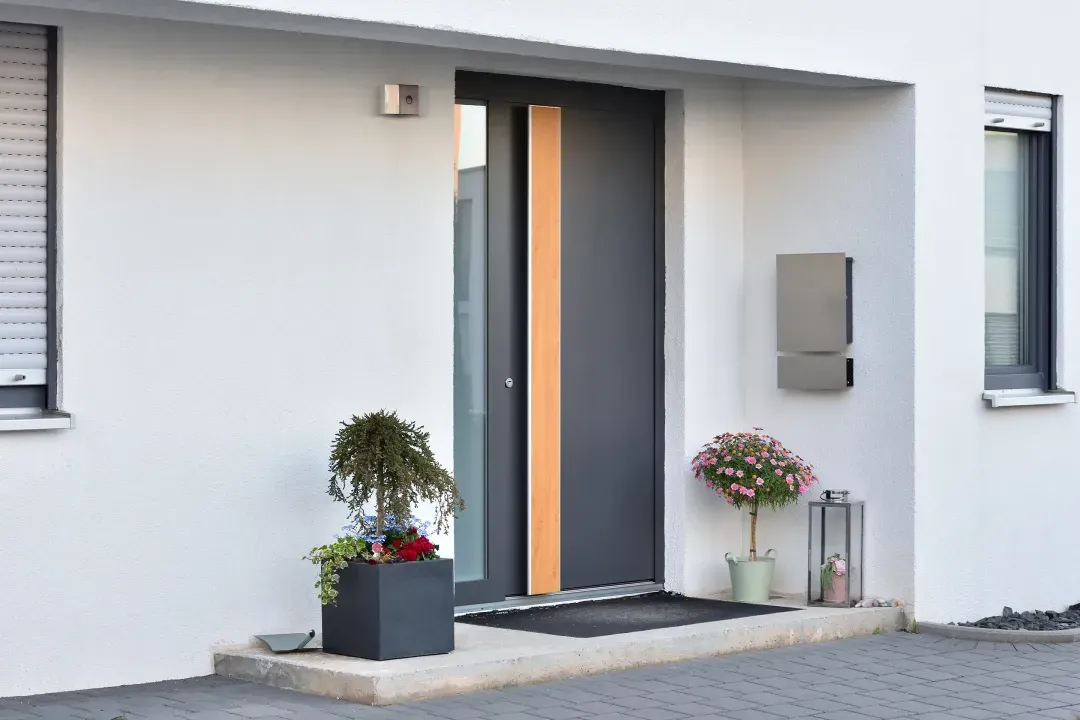 Moderne Haustür in Anthrazit mit Glas, Briefkasten und Pflanzen am Eingang